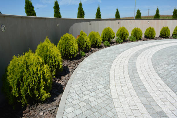 Best Custom Driveway Pavers  in Whippany, NJ